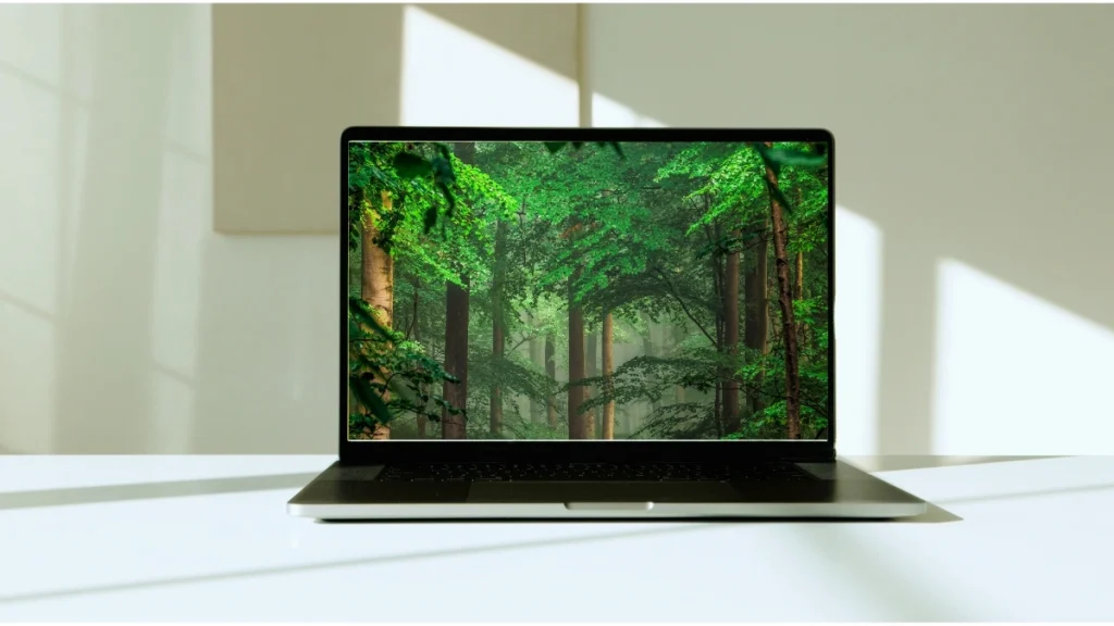 Molegar N95 Laptop User Manual Download